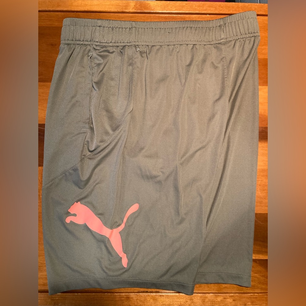 Puma basketball shorts